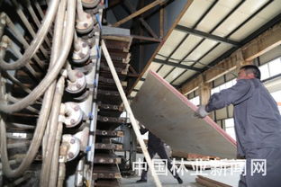 告別斧鋸，森工轉型 餐飲服務開辟綠色新紅利