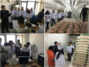 北理工后勤集團(tuán)餐飲服務(wù)中心圓滿完成第五屆食堂開放日暨年度伙委會(huì)活動(dòng)